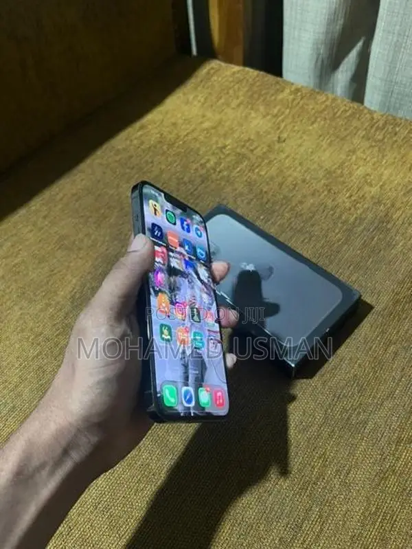 Apple iPhone 13 Pro Max (Used)