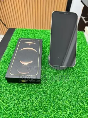 Apple iPhone 12 Pro Max (Used)