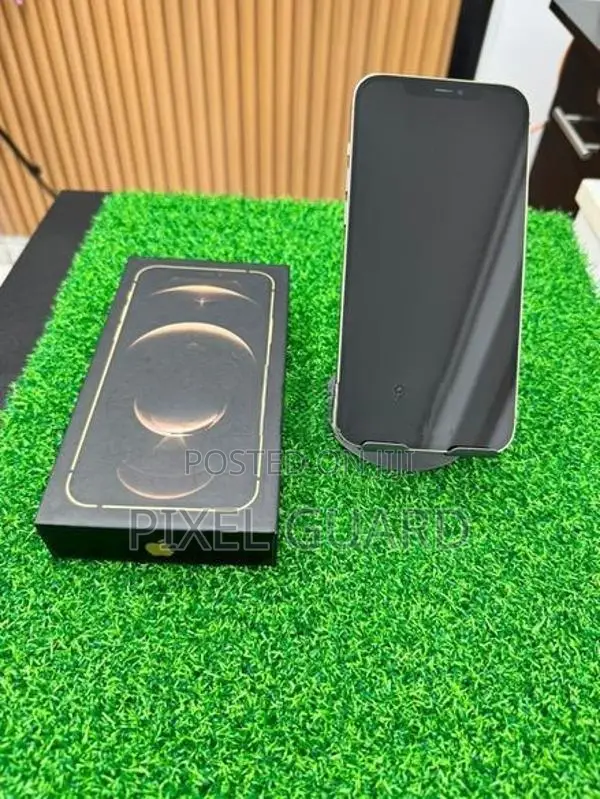 Apple iPhone 12 Pro Max (Used)