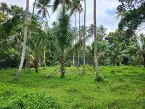Land for Sale Andiambalama, Katunayake