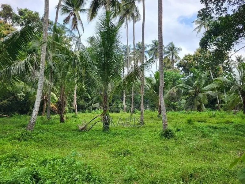 Land for Sale Andiambalama, Katunayake