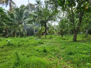 Land for Sale Andiambalama, Katunayake