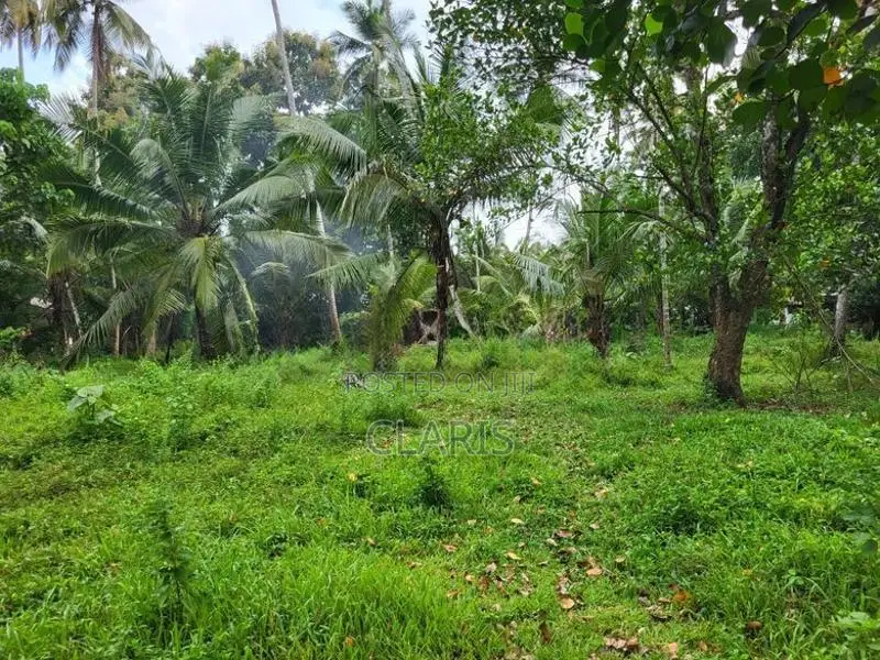 Land for Sale Andiambalama, Katunayake