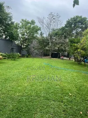 Malaysian Grass Carpet