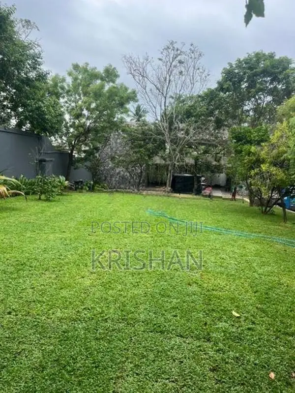 Malaysian Grass Carpet