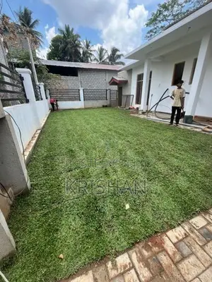 Malaysian Grass Carpet