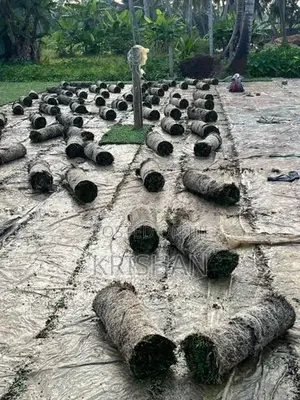 Malaysian Grass Carpet