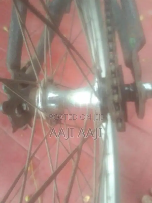 Bicycle