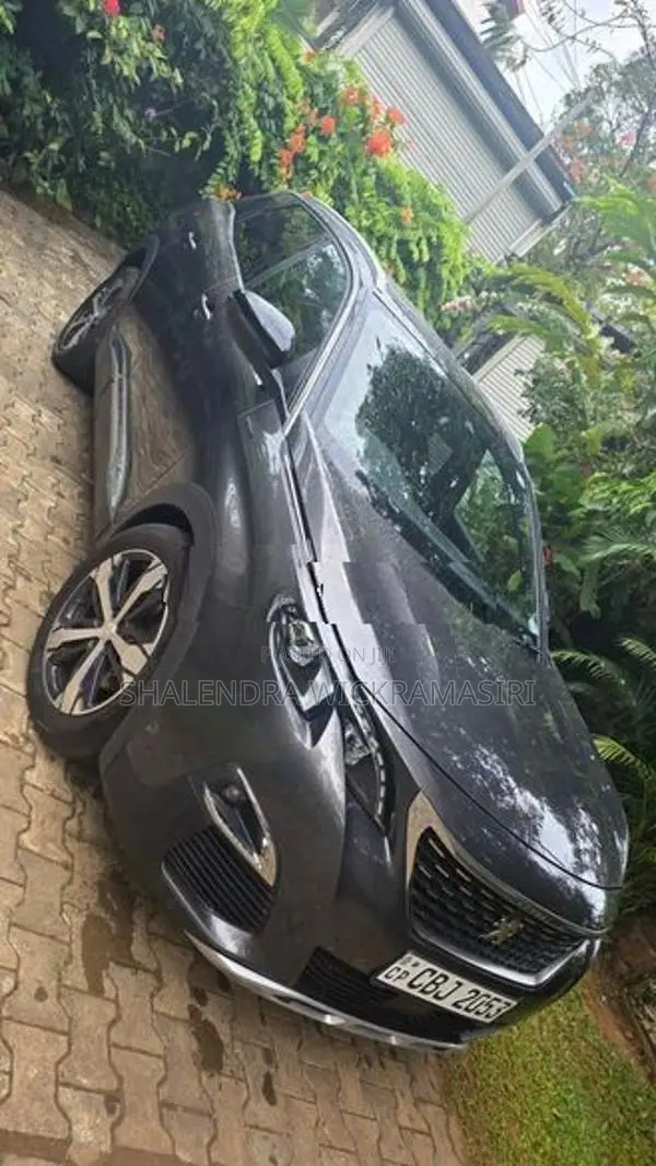 Peugeot 3008 Gt Line 2019
