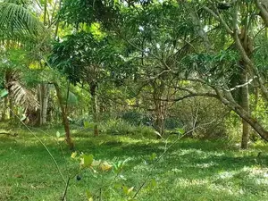 Land For Sale Thangalla