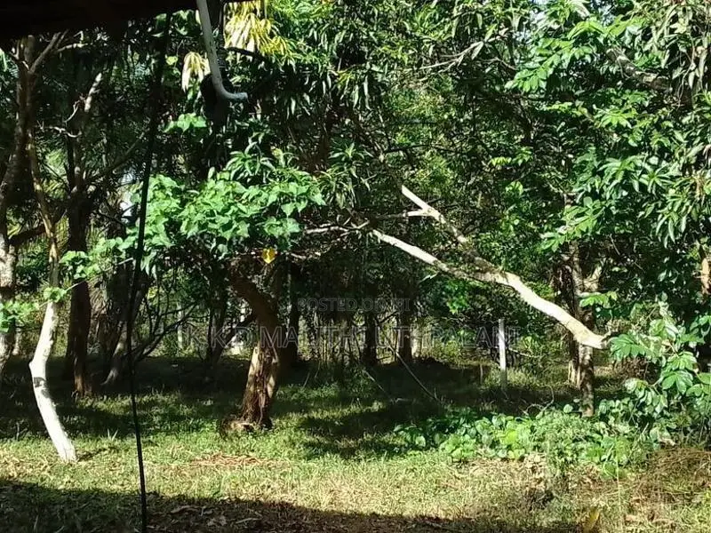 Land For Sale Thangalla