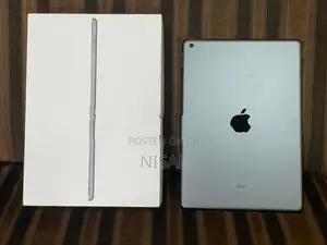 Apple iPad 9th Generation 256GB Wi-Fi