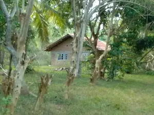 Land For Sale Thangalla