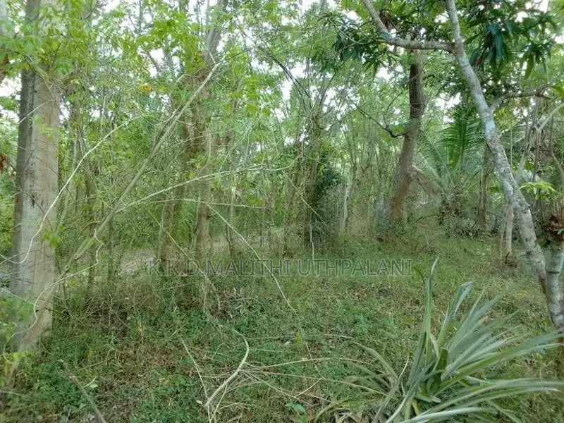 Land For Sale Thangalla