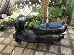 Hero Pleasure S 2012