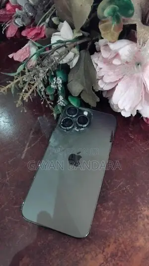 Apple iPhone 13 Pro 256GB (Used)