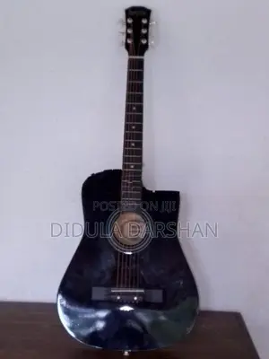 Guitar
