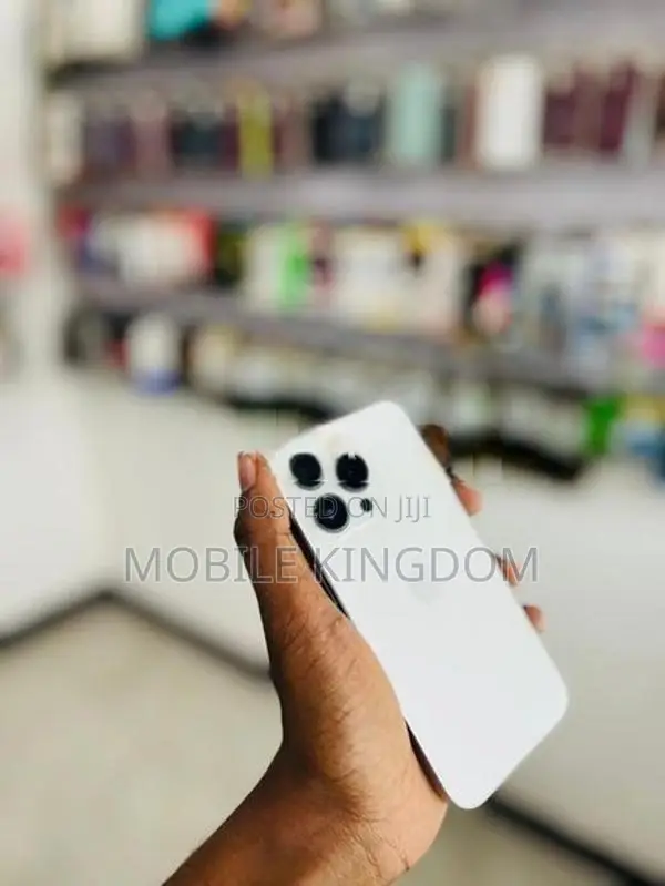 Apple iPhone 13 Pro 256GB White Fullset (Used)