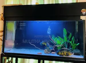Fish Tank