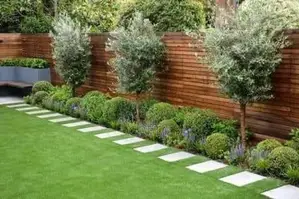 Australian Grass Pidali with Malaysian Carpet