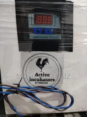 Egg Incubator
