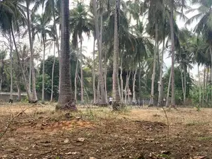 Land for Sale Nallur