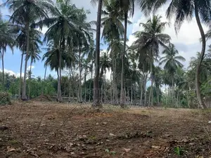 Land for Sale Nallur