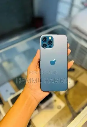 Apple iPhone 12 Pro Max (Used)