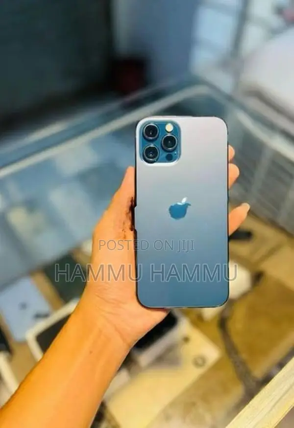 Apple iPhone 12 Pro Max (Used)