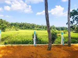 Land for Sale in Aththanagalla E02