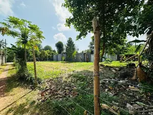 Land in Piliyandala Ganewatta Devala Rd