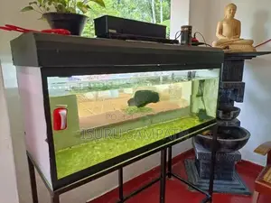 Fish Tank