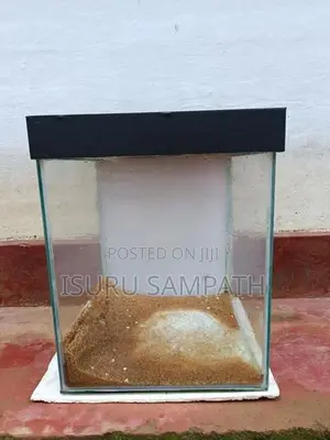 Fish Tank