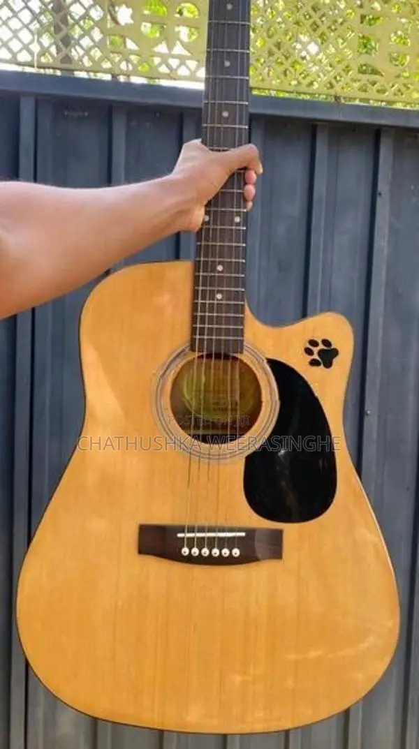Suzuki Acoustic Guitar with Amplifier