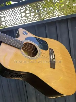 Suzuki Acoustic Guitar with Amplifier
