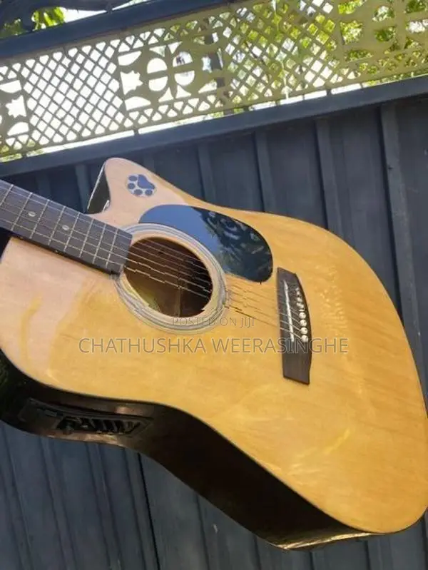 Suzuki Acoustic Guitar with Amplifier