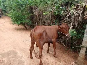 Nampan Kandu