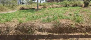Pannipitiya Araliya Uyana ,Residential Land for Sale