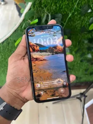 Apple iPhone 11 64 GB (Used)