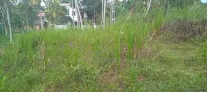 10.75 perch Land for sale in Galwarusawa Road Athurugirya