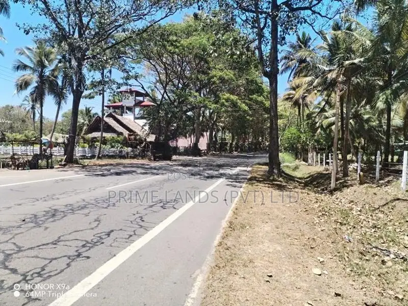 බලල්ල පදිංචියටත් වටිනා ඉඩමක්