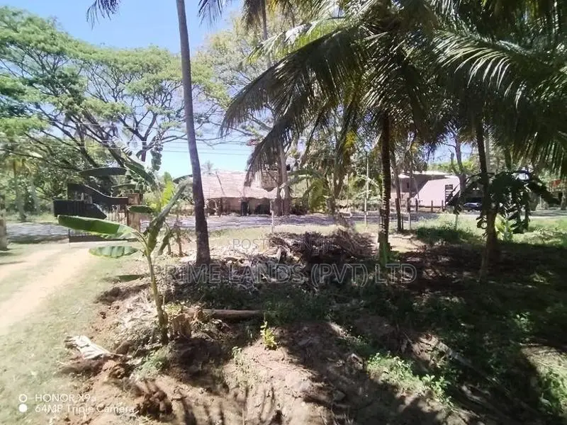 බලල්ල පදිංචියටත් වටිනා ඉඩමක්