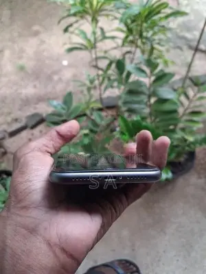 Apple iPhone 11 (Used)