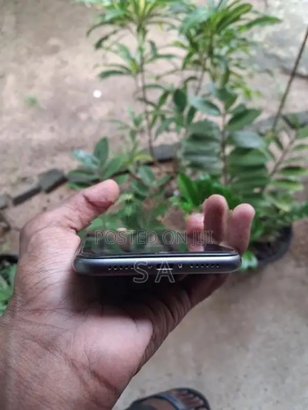 Apple iPhone 11 (Used)