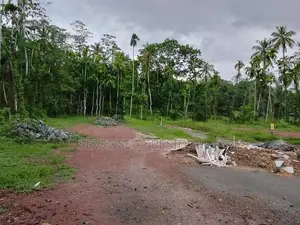 පදිංචිවීමට හොඳම ඉඩම ජාඇලින්