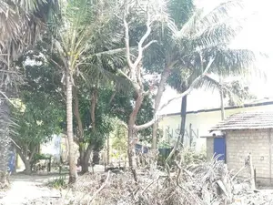 Land For Sale Valaichenai