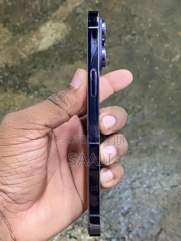Apple iPhone 14 Pro Max 256GB (Used)