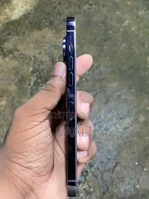 Apple iPhone 14 Pro Max 256GB (Used)