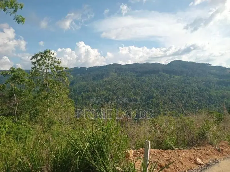 Land for Sale Nillamba