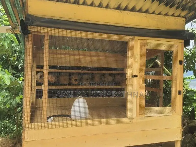 Bird Cage
